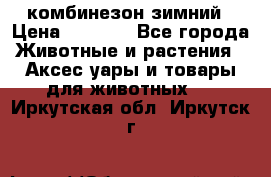 комбинезон зимний › Цена ­ 1 300 - Все города Животные и растения » Аксесcуары и товары для животных   . Иркутская обл.,Иркутск г.